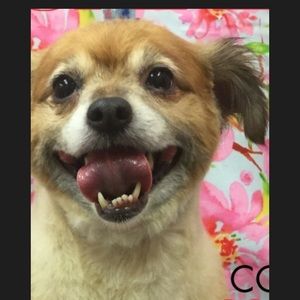 Meet your Posher, Valerie